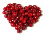 Cranberry remedy for urinary tract infection